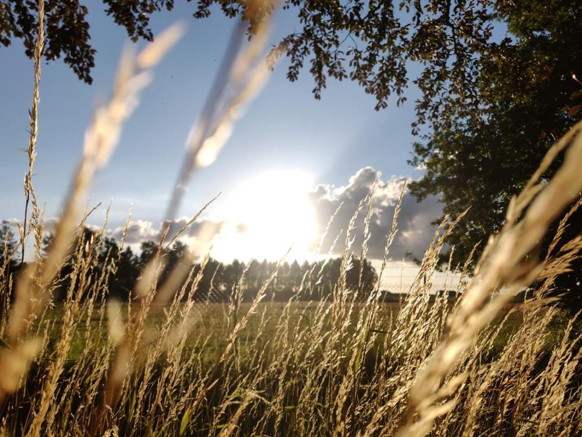 Wuivend Riet Gelegen Op Resort Venetie Giethoorn Bagian luar foto